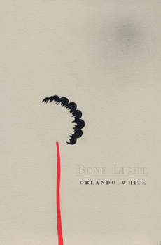 Paperback Bone Light Book