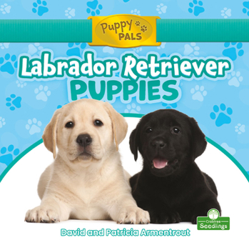 Library Binding Labrador Retriever Puppies Book