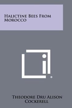 Paperback Halictine Bees from Morocco Book