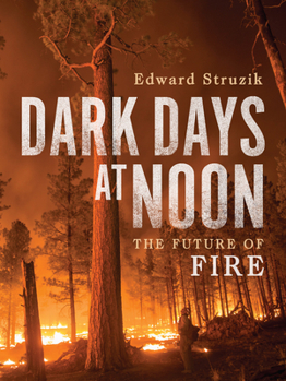 Hardcover Dark Days at Noon: The Future of Fire Book