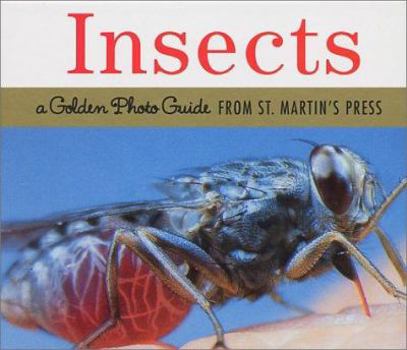 Hardcover Insects: A Golden Photo Guide from St. Martin's Press Book