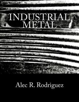 Paperback Industrial Metal: A Heavy Metal Guide & Reference Book