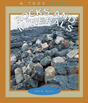School & Library Binding Rocks and Minerals Book
