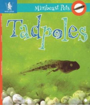 Paperback Tadpoles (Minibeast Pets) Book