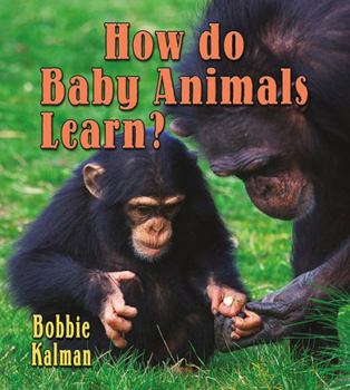 Hardcover How Do Baby Animals Learn? Book