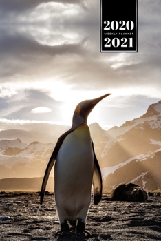 Penguin Puffin Antarctica Seabird Week Planner Weekly Organizer Calendar 2020 / 2021 - Sunbeams: Cute Wildlife Animal Pet Bullet Journal Notebook Diary in 6” x 9” Inch Pocket Size