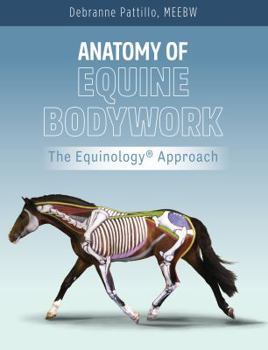 Hardcover Anatomy of Equine Bodywork;the Equinology® Approach Book