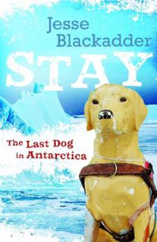 Paperback Stay: The Last Dog in Antarctica Book