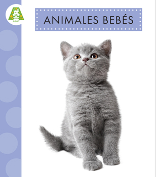Hardcover Animales Bebés [Spanish] Book