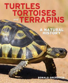 Hardcover Turtles, Tortoises and Terrapins: A Natural History Book