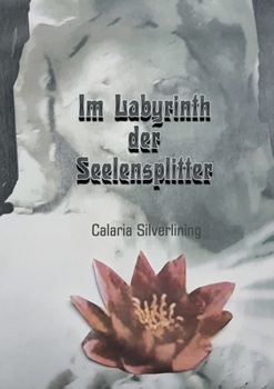 Paperback Im Labyrinth der Seelensplitter [German] Book