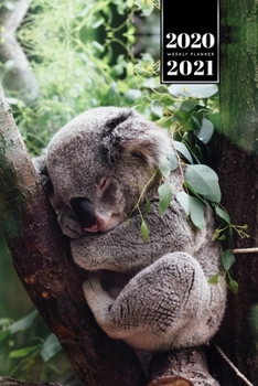 Koala Bear Rainforest Week Planner Weekly Organizer Calendar 2020 / 2021 - Sleeping in Tree: Cute Wildlife Animal Pet Bullet Journal Notebook Diary in 6” x 9” Inch Pocket Size