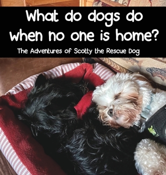 Hardcover What do dogs do when no one is home? Book