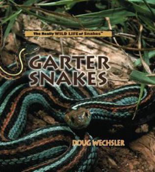 Garter Snakes (Wechsler, Doug. Really Wild Life of Snakes.) - Book  of the Really Wild Life of Snakes