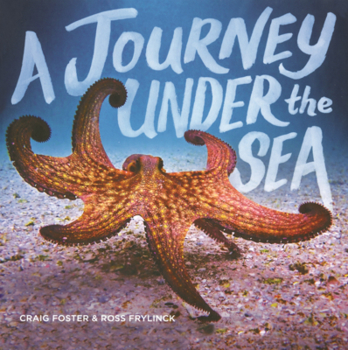 Journey Under the Sea