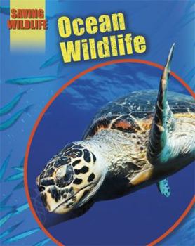 Hardcover Ocean Animals Book