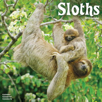 Calendar 2024 Sloths Wall Calendar Book