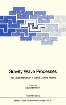 Paperback Gravity Wave Processes: Their Parameterization in Global Climate Models Book