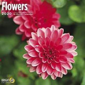 Calendar Flowers Wall Calendar 2020 Book