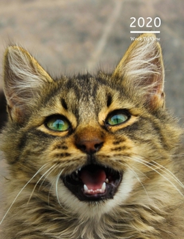 2020 A4 Diary Week To View Planner For All Occasions: | Year Planner For Business, Office, Home, University, College, School, Appointments, Organizer.