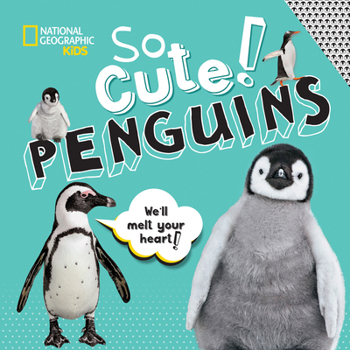 So Cute: Penguins - Book  of the So Cute!