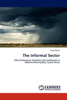 Paperback The Informal Sector Book