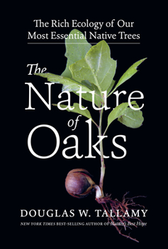 Hardcover The Nature of Oaks: The Rich Ecology of Our Most Essential Native Trees Book