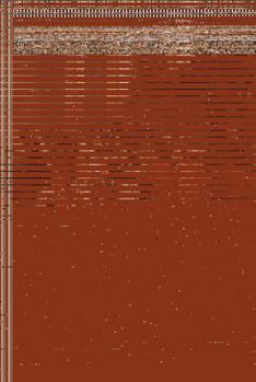 Hardcover Napoleon: A Historical Perspective Book