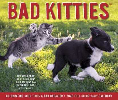 Calendar Bad Kitties 2020 Box Calendar Book
