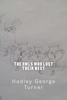 Paperback The Owls Who Lost Their Nest Book