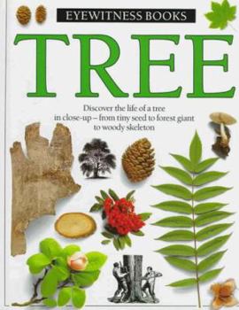 Hardcover Tree Book