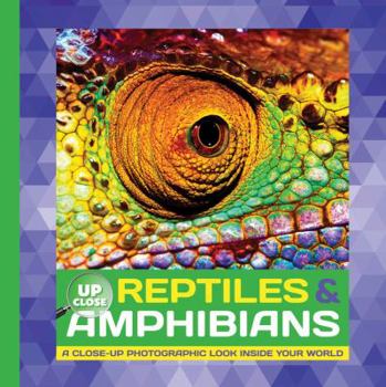 Hardcover Reptiles & Amphibians: A Close-Up Photographic Look Inside Your World Book