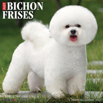 Calendar Just Bichons Frises 2022 Wall Calendar (Dog Breed) Book