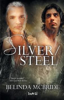 Paperback Silver/Steel Book