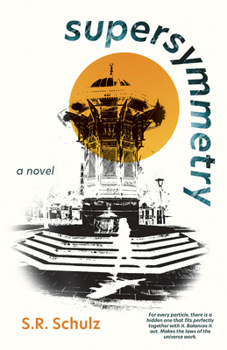 Paperback Supersymmetry Book