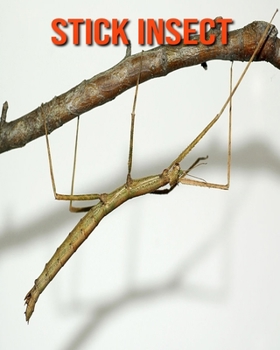 Paperback Stick Insect: Amazing Facts about Stick Insect Book