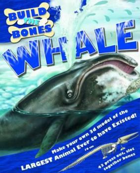 Hardcover Whale Book