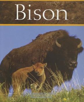 Paperback Bison Book