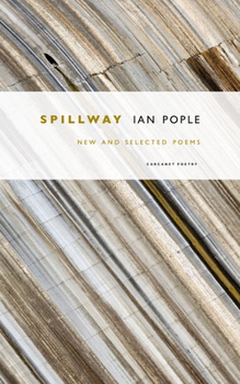 Paperback Spillway: New and Selected Poems Book