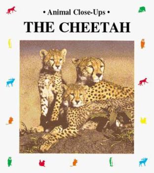 Paperback The Cheetah--Fast as Lightning Book