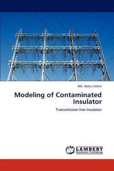 Paperback Modeling of Contaminated Insulator Book