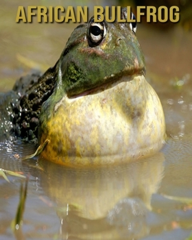 Paperback African Bullfrog: Fascinating African Bullfrog Facts for Kids with Stunning Pictures! Book