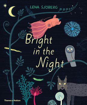 Hardcover Bright in the Night Book
