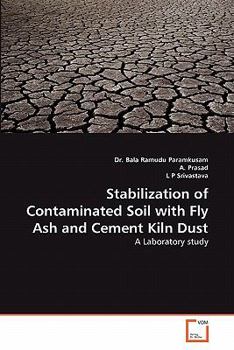 Paperback Stabilization of Contaminated Soil with Fly Ash and Cement Kiln Dust Book