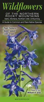 Wildflowers of the Northern Rocky Mountains: Idaho, Montana, Northern Utah, & Wyoming: A Guide to Common & Rare Native Species