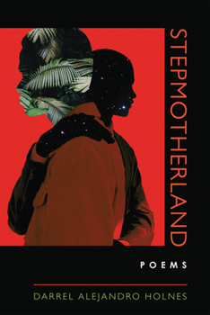 Hardcover Stepmotherland Book