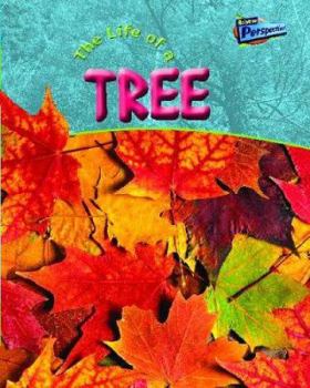 Hardcover The Life of a Tree Book