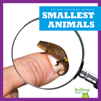 Paperback Smallest Animals Book