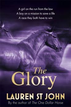 Hardcover The Glory Book