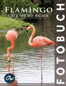 Paperback Flamingo: Fotobuch [German] Book